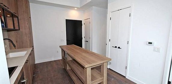 1 Bedroom, 1 Bathroom - Waterworks Condos - Photo 2