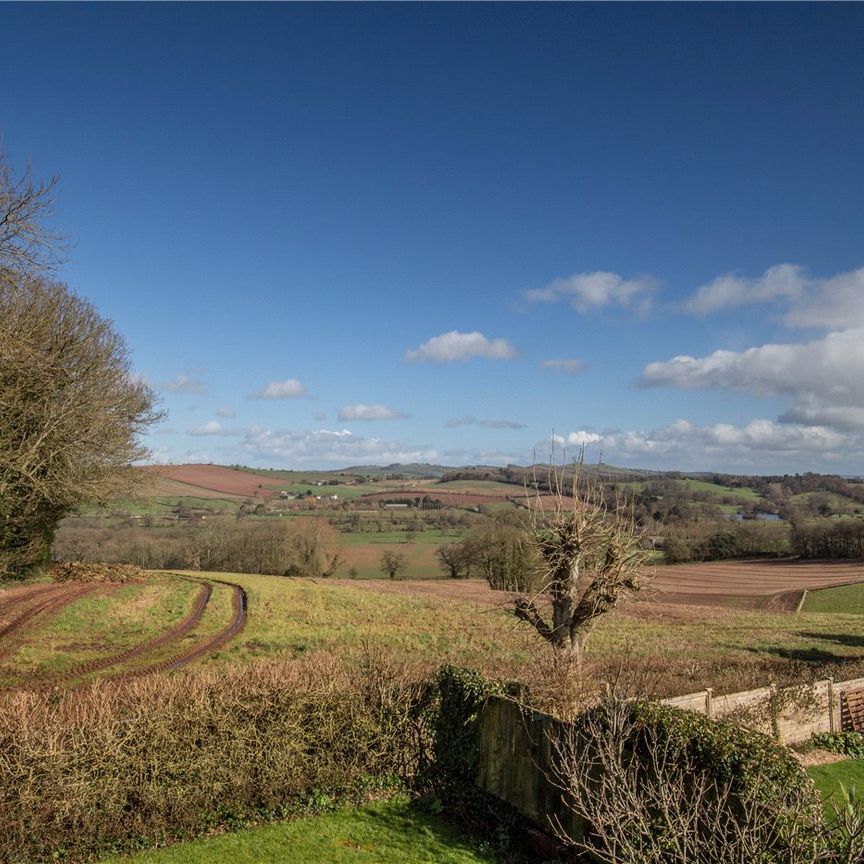 Golden Joy, Crediton, Devon, EX17 - Photo 1