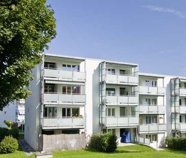 2.5 Zimmer, 58 m², EG - Foto 6