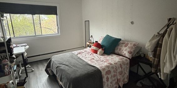 Appartement 1 Chambre - Village - Photo 3