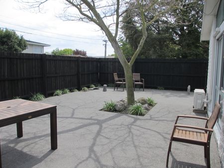 Sunny, Spacious 2 Bedroom Unit in Richmond. - Photo 5