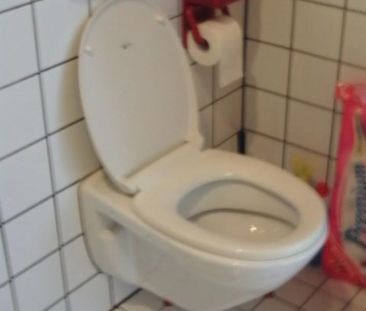 Günstige 1-Zi-Wohnung, kl. Küche, Bad 230+130NK, Tr-Olewig, 1Pers - Photo 6
