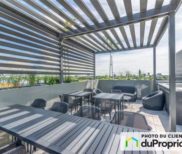 468 rue Saint-Grégoire - Studio, Le Plateau-Mont-Royal à louer - Photo 5