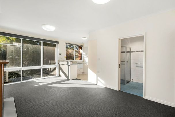RENOVATED SPACIOUS ONE BEDROOM APARTMENT - Photo 1