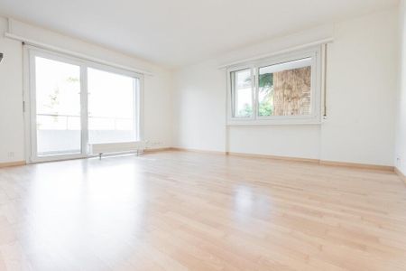 Ihre neue Wohlfühloase in Luzern - Foto 2