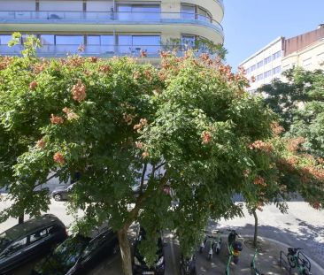 Room in a shared 10-bedroom apartment for rent in Lisbon, perfect for professionals - Photo 5