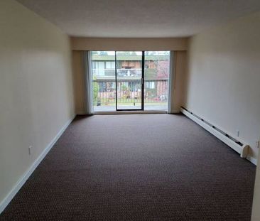 Newly Renovated 1 Bedroom Available Now at Delta West! - Photo 1