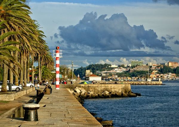 Simpático Apartamento T2 para Arrendamento junto à Foz do Douro
