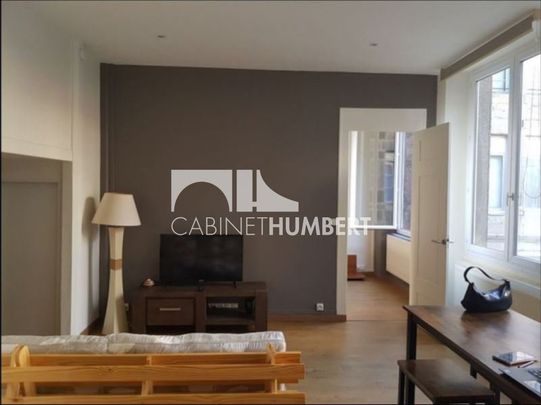 Location Appartement 2 pièces Meublé 44m² ST ETIENNE 42000 - Photo 1