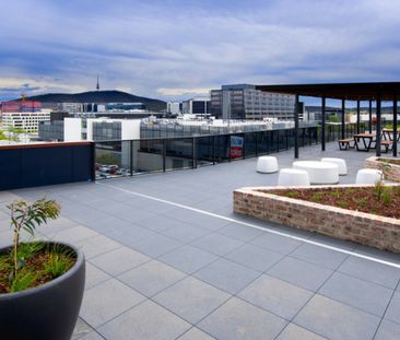 Luxury in the Heart of the City - Photo 1