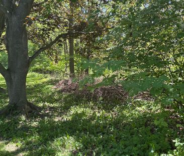 For Lease - 29 ravenview Drive, Toronto, Ontario - Photo 1