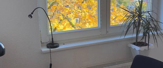 2 Monate Untervermietung – Helle 2-Zimmer-Wohnung - Photo 1