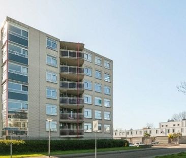 Lepelaarstraat 0ong, 2623 Delft, Nederland - Photo 3