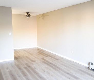 Manpreet Estates - Photo 4