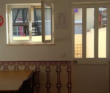 Tapada da Ajuda, Lisbon, Lisbon 1300 - Photo 3