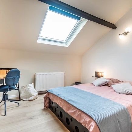 Coliving Assaut - Foto 1