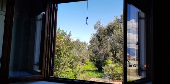 Ενοικιάζεται Μονοκατοικία Ριο - Φωτογραφία 2