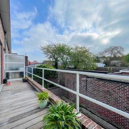 Te huur gunstig gelegen bel-étage woning te Zingem/Kruisem - Photo 3