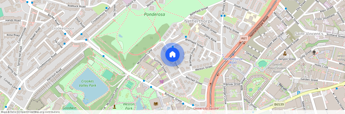 Powell Street, Sheffield S3