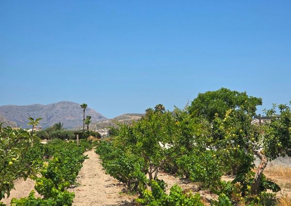 WIDE ESTATE FOR RENT IN TEULADA FOR LONG TERM