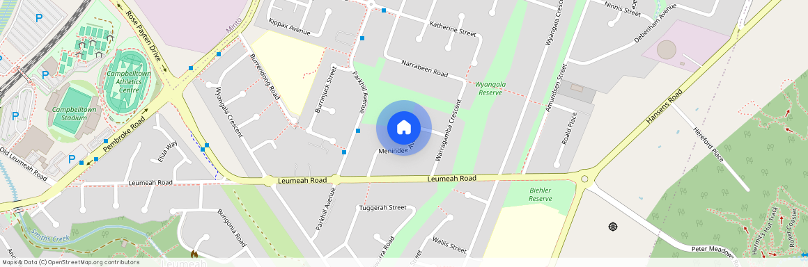 21 Menindee Avenue, NSW 2560, Leumeah