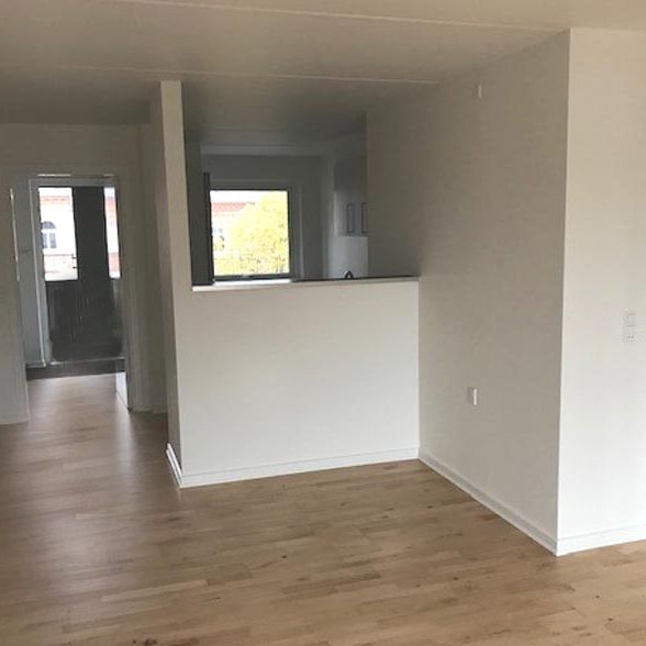 Dejlig 2-værelses lejlighed i hjertet af Odense - Photo 1