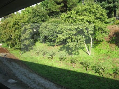 Apartamento T2 em Braga - Foto 4