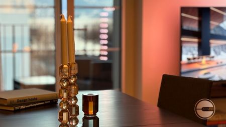 ELEGANCE ON LAKE ZURICH – APARTMENT WITH LAKE VIEW - Photo 5