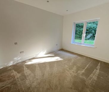 3 bedroom bungalow to rent - Photo 5