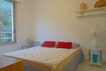 Location Appartement 2 pièces Meublé 35m² AJACCIO 20000 - Photo 4