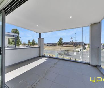 Elevated, Light-Filled Home with Open-Plan Living - Photo 5