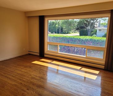 For Lease - 460 Bader Avenue, Oshawa, Ontario - Photo 4