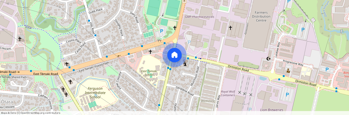 243 Preston Road, Manukau City, Otara