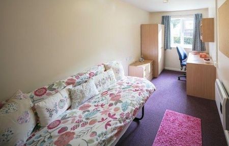 4 bedroom house share to rent - Photo 2