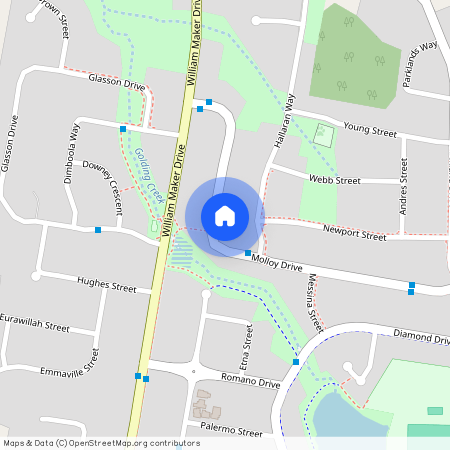 48 Molloy Drive, NSW 2800, Orange