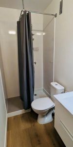 Location Appartement 1 pièce 18m² TOURS 37000 - Photo 4