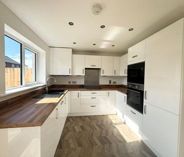 3 bedroom semi-detached house to rent - Photo 3