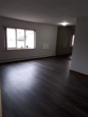 Two Bedroom Apartment - Photo 4