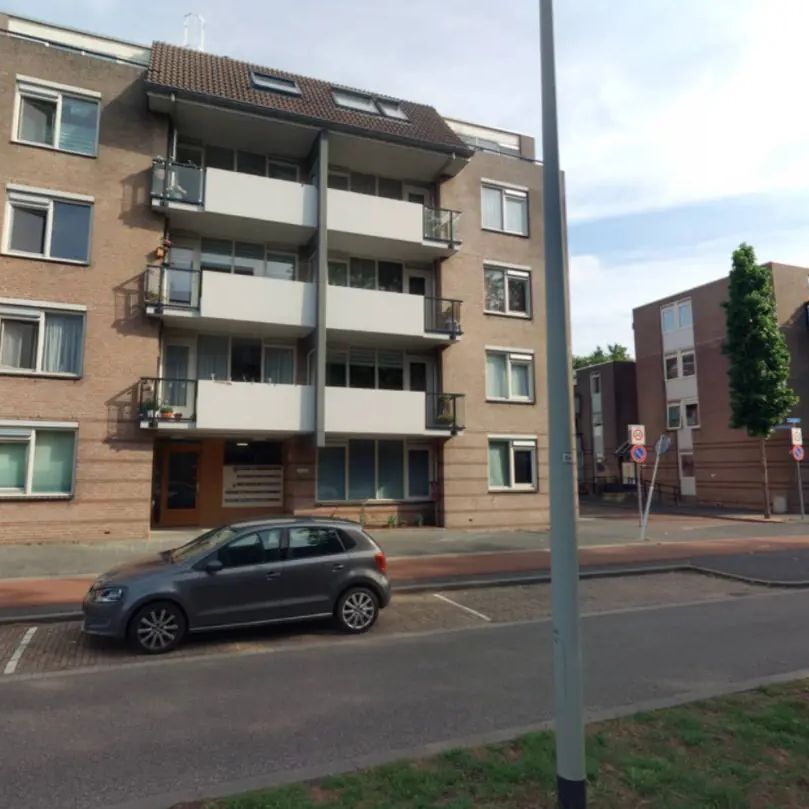Appartement Noordsingel 27, Bergen op Zoom - À louer - Foto 1