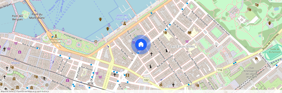 1207 Genève, Rue des Eaux-Vives 21