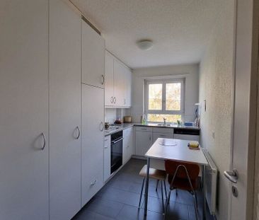 Bright 2.5-room apartment in Breitenrain! - Foto 1