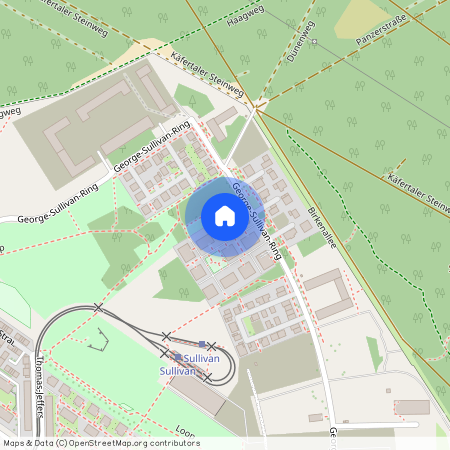 George-Sullivan-Ring 32, 68309, Mannheim