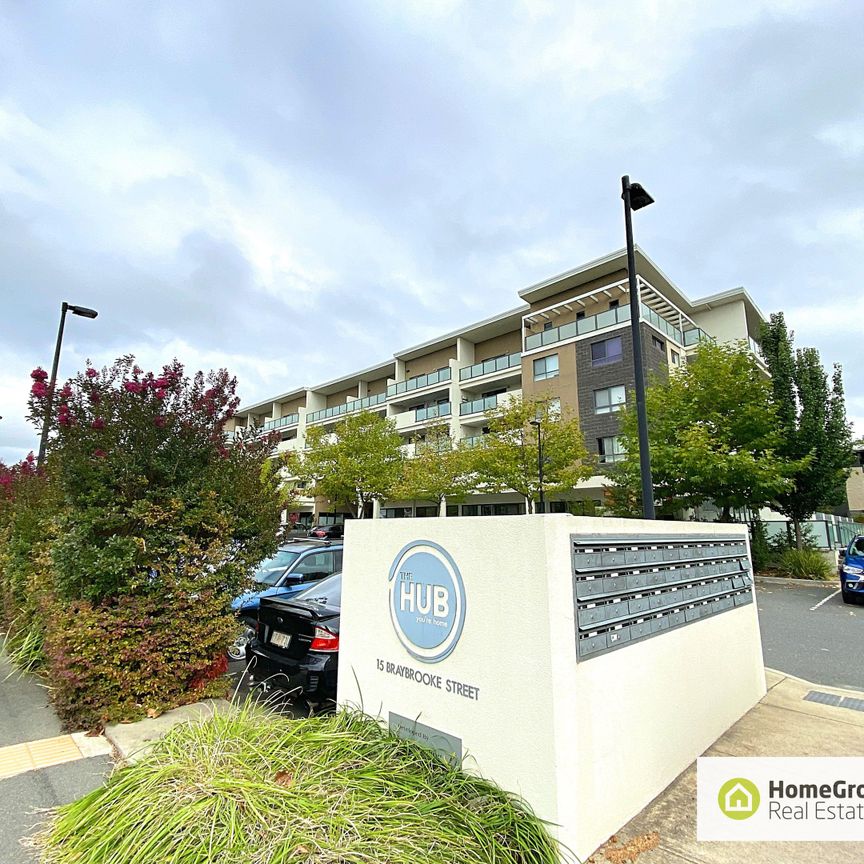 55/15 Braybrooke Street, Bruce ACT 2617 - Apartment For Rent | Domain - Photo 1