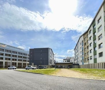 Location Appartement 1 pièce 20m² TOURS 37200 - Photo 4