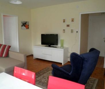 21/2 ROOM APARTMENT IN VERSOIX (GE), FURNISHED - Foto 2