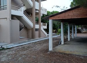 Διαμέρισμα για ενοικίαση - Πύργος, - Photo 2