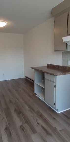 N-Rosemont Près Anjou/St.Léonard 4.5 au 2e Étage Triplex - Photo 1