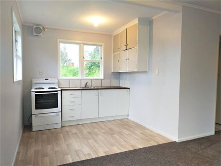 One Bedroom Johnsonville Flat For Rent - Photo 4