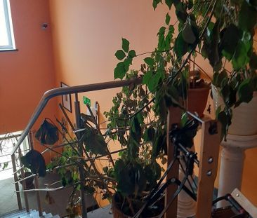 Warszawa, Ursus - Photo 3