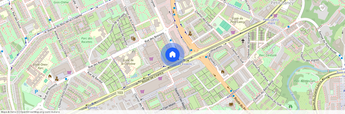 1213, Petit-Lancy